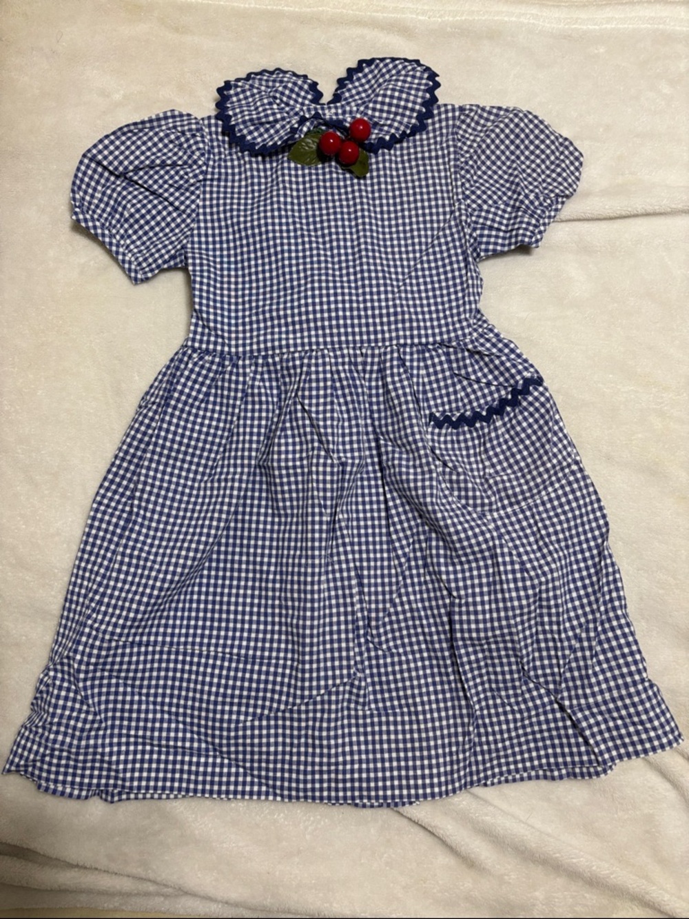 Vintage Blue Gingham Checkered Dress